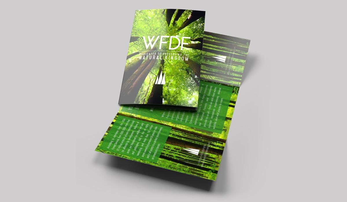 A Guide to Standard Postcard Sizes for Mailing PrintPlace